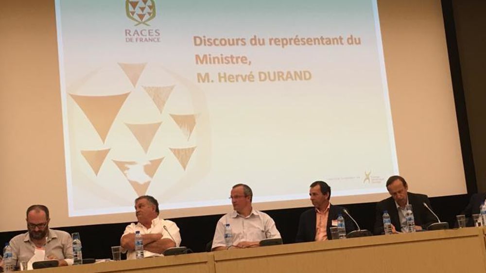 © E. Casalegno/GFA